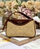 Dior 30 Montaigne Hobo Avenue Mini Bag Apricot 2