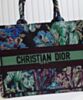 Dior Medium Dior Book Tote Green 8