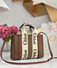 Chloe Small Woody Tote Bag With Strap Apricot 3