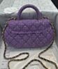 Chanel Small Bag With Top Handle AS4573 Purple 6