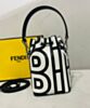 Fendi Mon Tresor Two-tone Printed Leather Fendi Roma Capsule Mini-bag 8BS010 Black 5