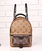 Louis Vuitton Palm Springs Mini M44872 Apricot