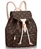 Louis Vuitton Montsouris M43431 Brown