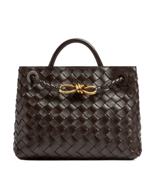 Bottega Veneta Small Andiamo 