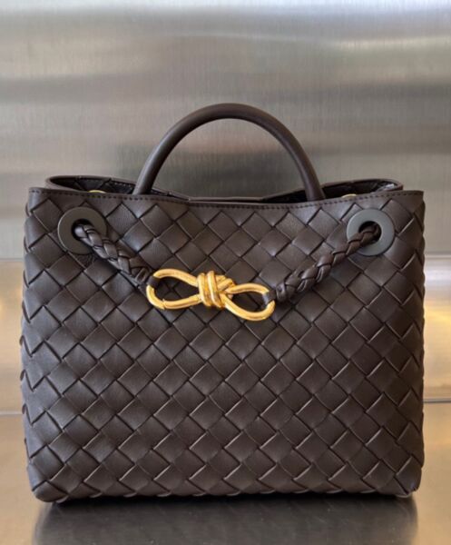 Bottega Veneta Small Andiamo 2