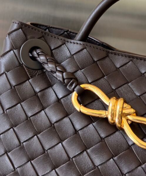 Bottega Veneta Small Andiamo 8