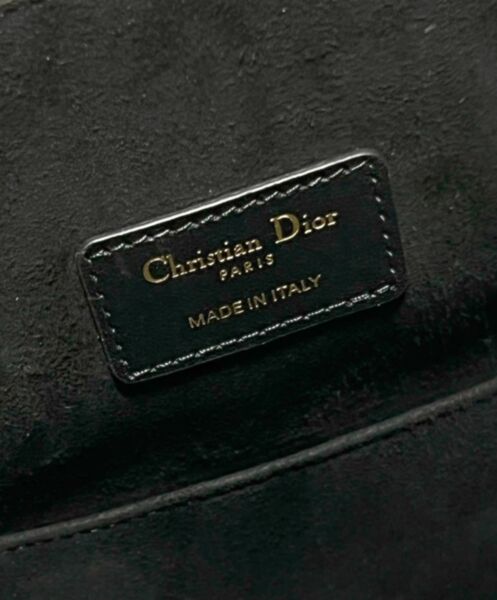 Dior Medium C'Est Dior Bag Black 10