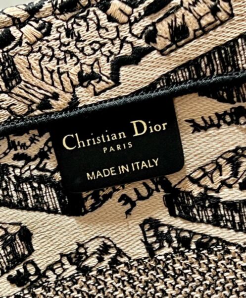 Dior Medium Dior Book Tote Apricot 10