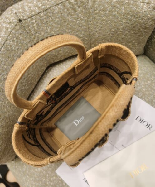 Dior Small Catherine Tote Bag Apricot 6