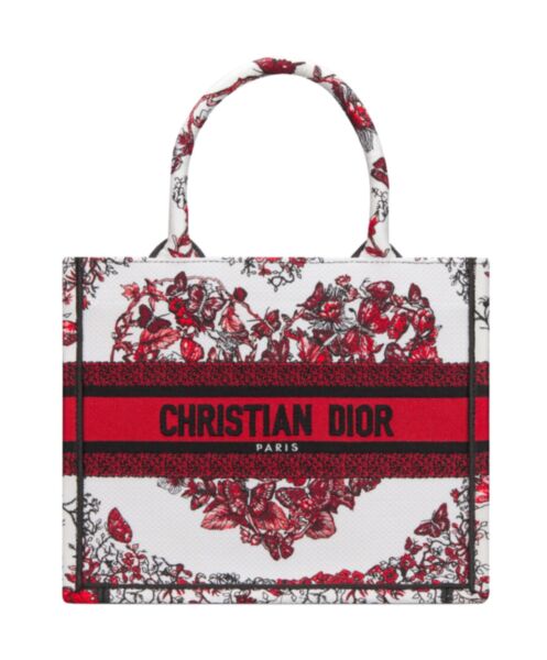 Dior Small Dior Book Tote Red