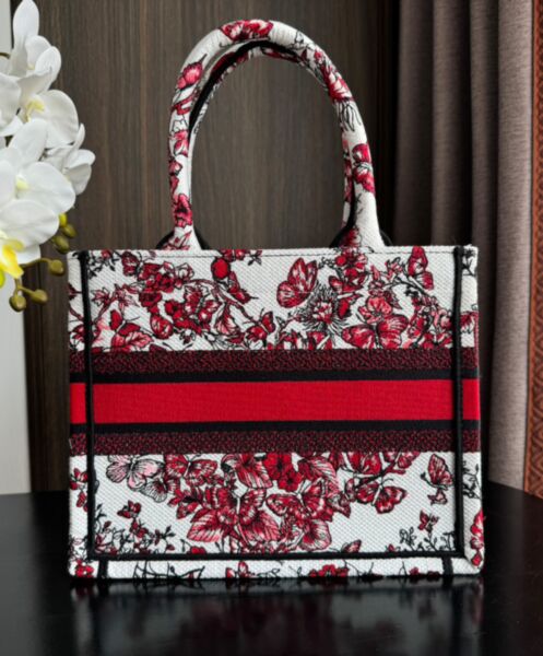 Dior Small Dior Book Tote Red 4