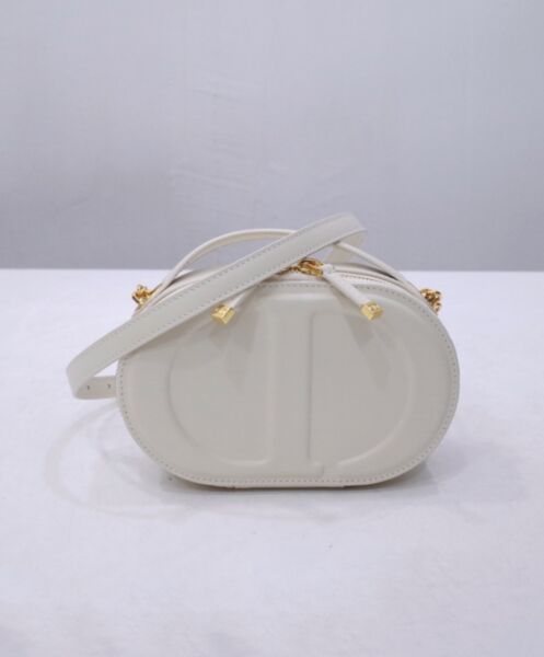 Dior CD Signature Oval Camera Bag 2