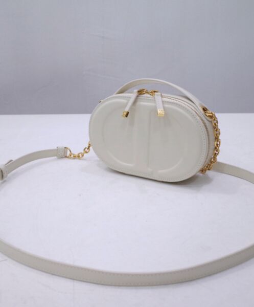 Dior CD Signature Oval Camera Bag 3