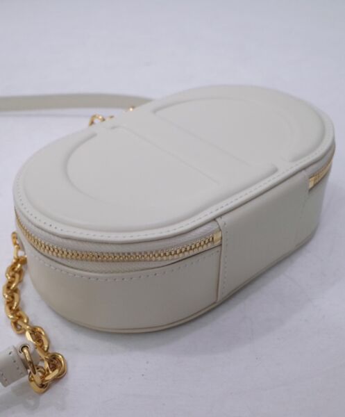 Dior CD Signature Oval Camera Bag 6