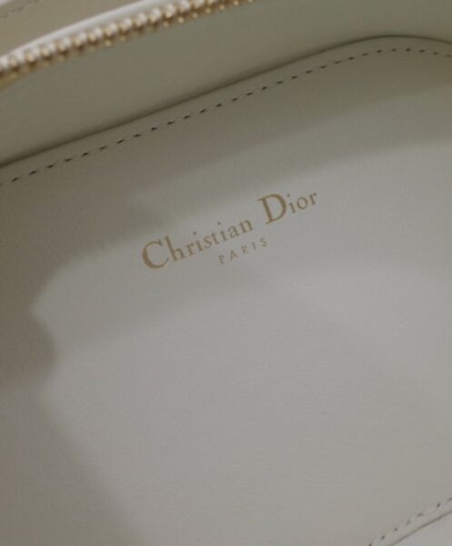 Dior CD Signature Oval Camera Bag 9