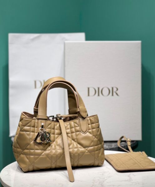 Dior Small Dior Toujours Bag 2