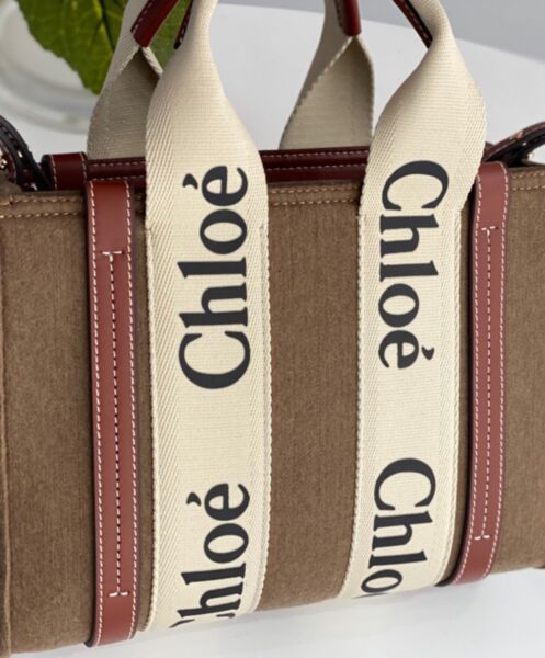 Chloe Small Woody Tote Bag With Strap Apricot 6