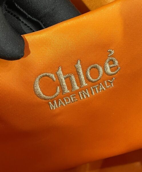 Chloe Medium Woody Tote Bag 10