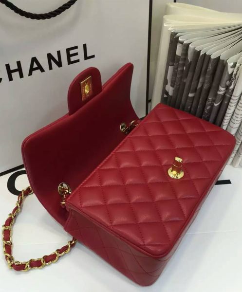 Chanel Quilted Leather Vintage Mini Flap Bag A01116 