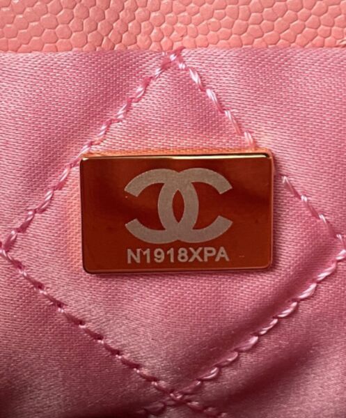 Chanel 22 Mini Handbag AS3980 Pink 9