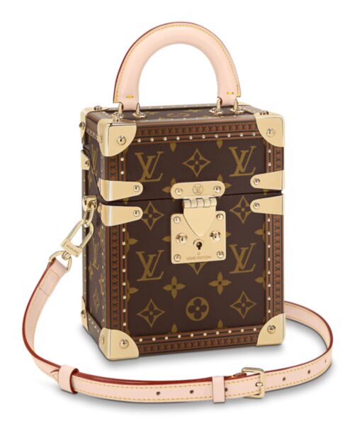 Louis Vuitton Camera Box M10079 Brown