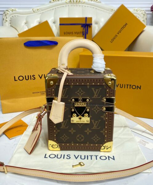 Louis Vuitton Camera Box M10079 Brown 2