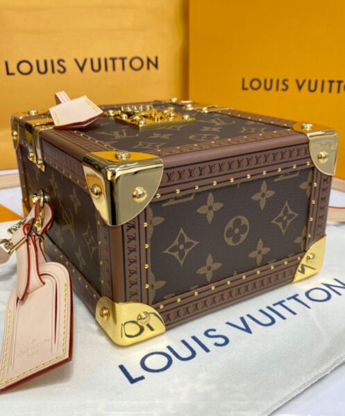 Louis Vuitton Camera Box M10079 Brown 6