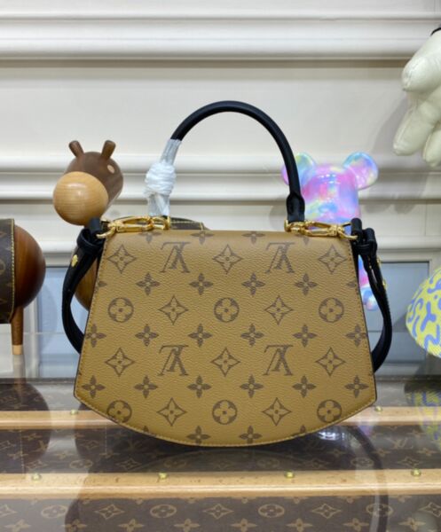 Louis Vuitton Tilsitt M46548 Brown 4