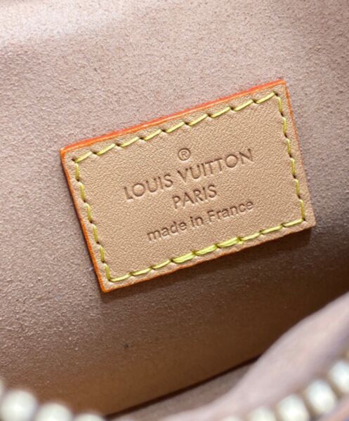 Louis Vuitton Loop Bag M81098 Brown 10