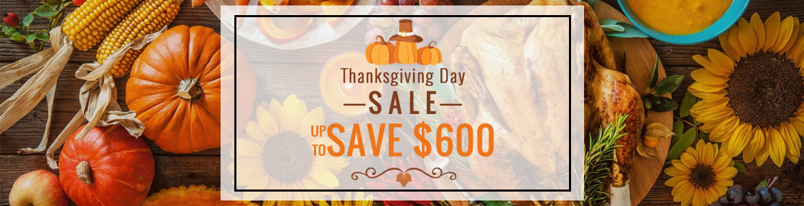 2020 Thanksgiving day sale
